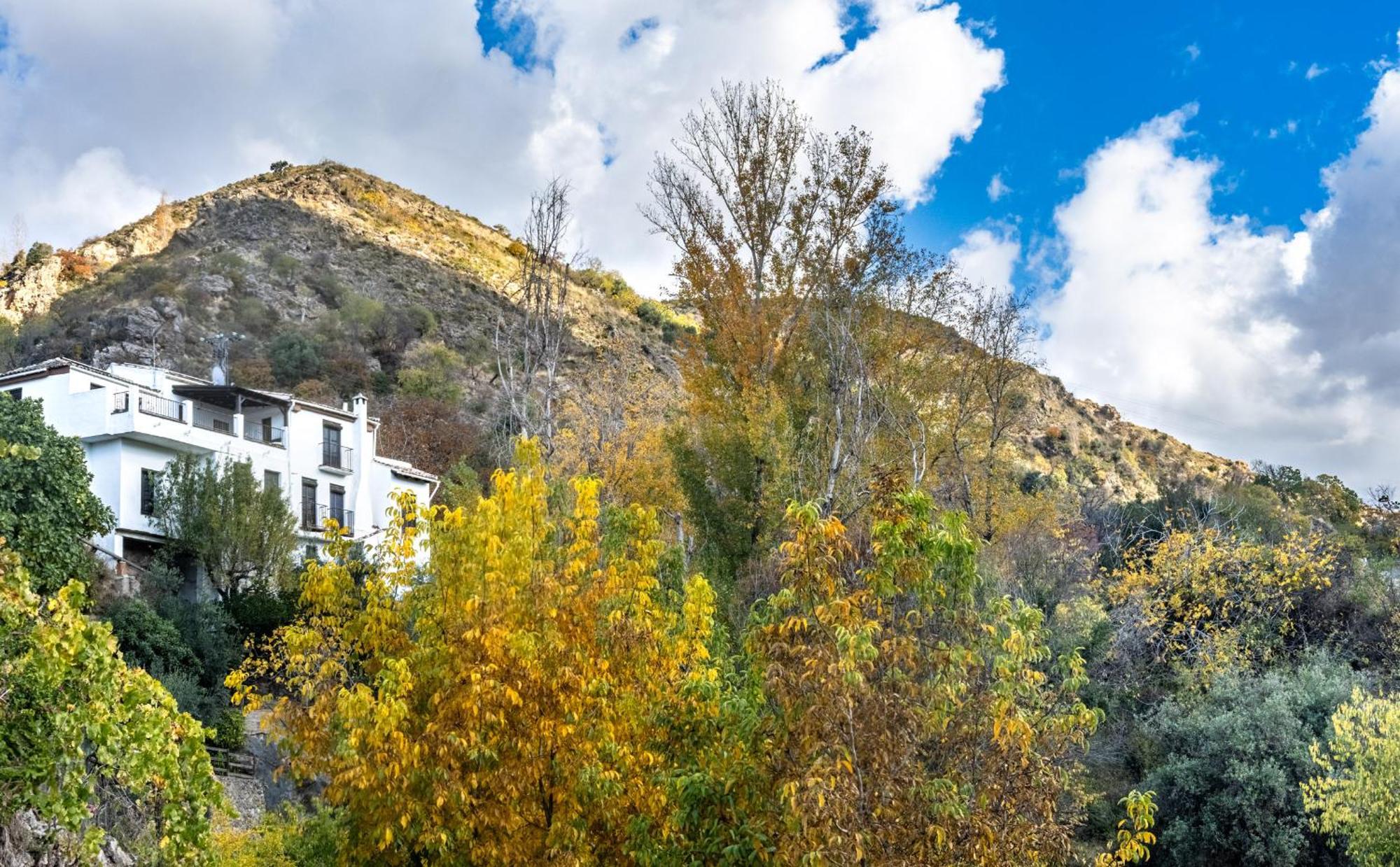 Casa Rural Arroyo De La Greda เกวคาร์-เซียร์รา ภายนอก รูปภาพ