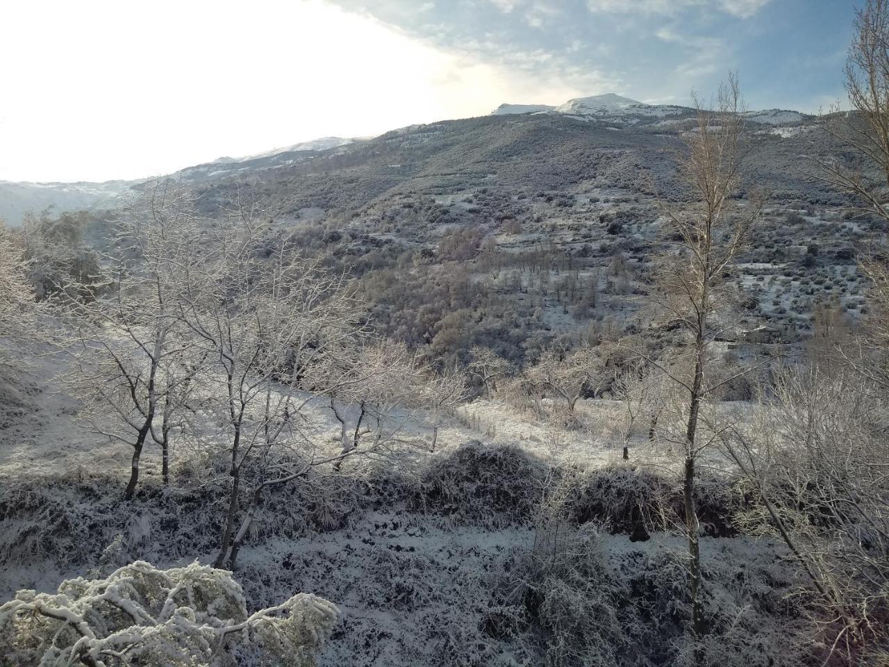 Casa Rural Arroyo De La Greda เกวคาร์-เซียร์รา ภายนอก รูปภาพ